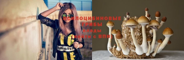 гидра Пролетарск