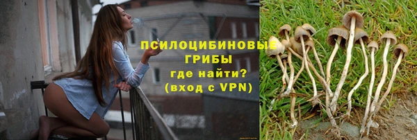 гидропоника Абинск