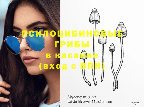 гидропоника Абинск