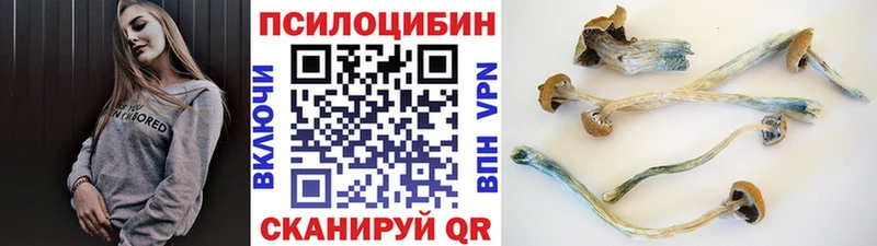 Псилоцибиновые грибы мухоморы  Поворино 