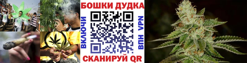 Марихуана план  Поворино 